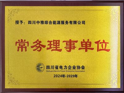 电力协会-常务理事单位（2024-2029）