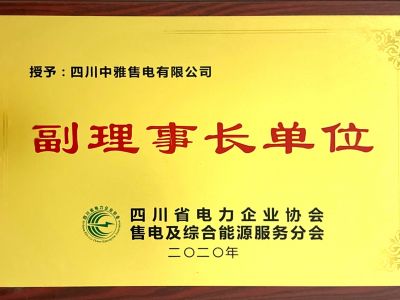电力协会、售电综合能源分会-副理事长单位（2020）