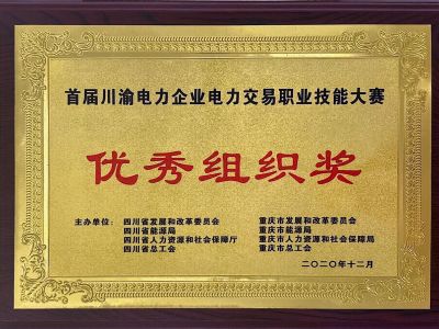 电力交易技能大赛-优秀组织奖（2020）