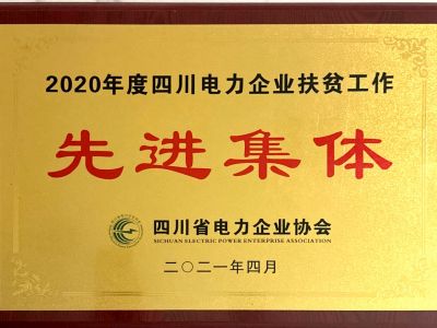 2020年扶贫工作（先进集体）